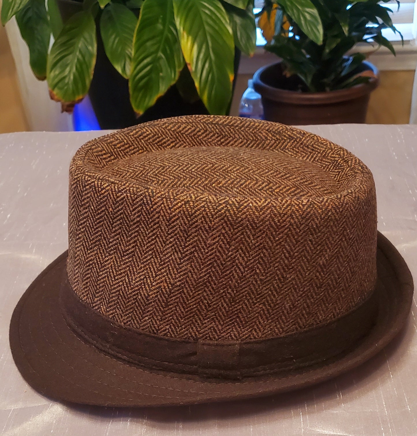 Brown Men's Fedora w/Trim - Brim 1.75"